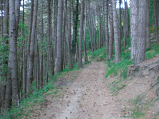 Ponte di Ramello - Beverone - Valico dei Casoni