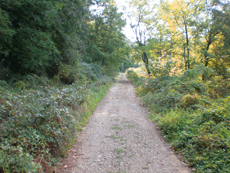 Borghetto di Vara - Memola