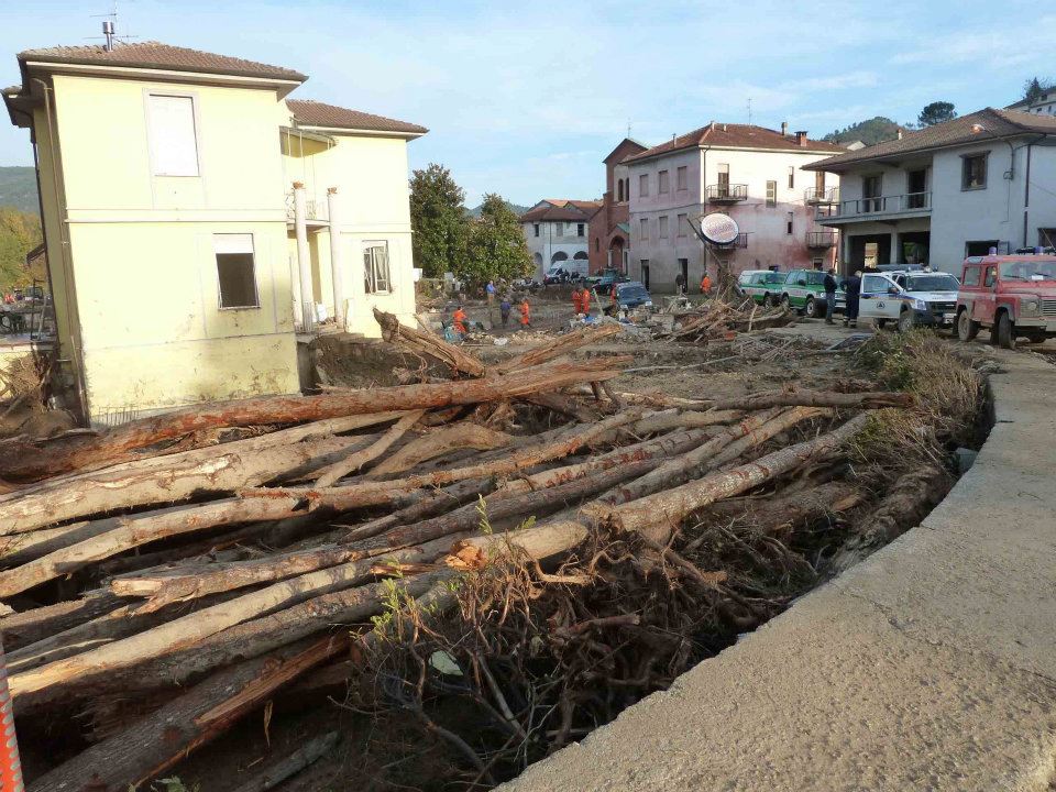 Interi alberi nel canale del paese