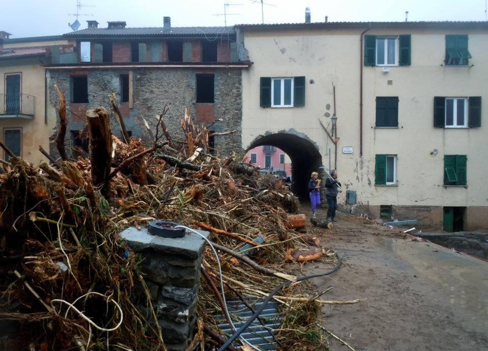 Cumulo di tronchi sopra il ponte